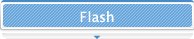 Flash