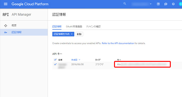 Google Maps API Keyの取得は完了