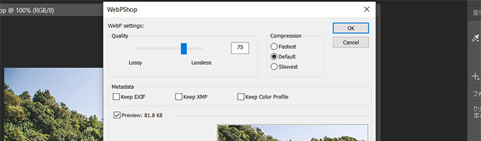 PhotoshopでWebP形式の画像を扱えるようにする手順